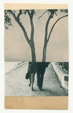 a man walking down a road next to a tree