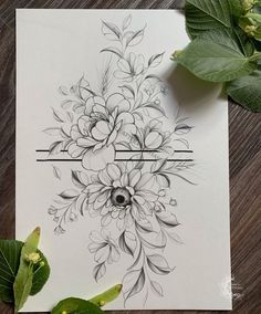 a drawing of flowers on top of a piece of paper next to leaves and a plant