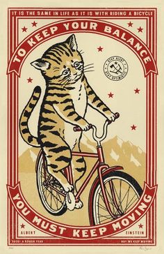 a cat on a bicycle with the caption to keep your balance you must keep moving