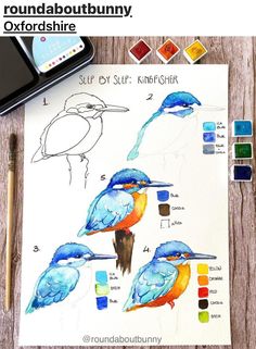 an image of birds drawn on paper with markers