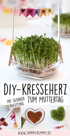 an image of some grass in a bowl with the words diy - kresserz on it