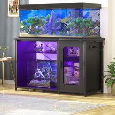 a fish tank that is sitting on top of a cabinet in front of a wall