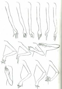 some drawings of different female legs and feet