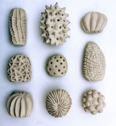 several different shapes and sizes of seashells on a white surface