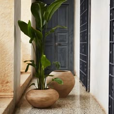 two planters sitting on the ground in front of a door