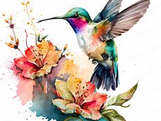 a watercolor painting of a hummingbird and flowers