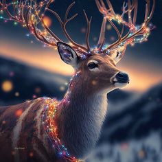 a deer with christmas lights on it's antlers