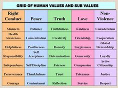 the grid of human value and sub values