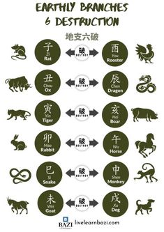 Earthly Branches 6 Destruction (六破) Chinese Zodiac Compatibility, Natal Chart Astrology, Feng Shui Tips, I Ching, Astrology Art, Chinese Zodiac Signs, Natal Charts