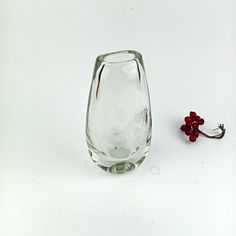 a glass vase sitting next to a tiny red flower