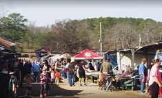 a group of people standing around tents in the dirt with trees in the back ground