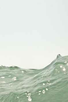 a person on a surfboard in the water