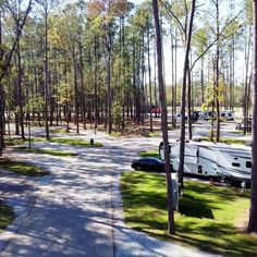 an rv park with trees and cars parked on the road