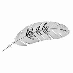 a single white feather on a white background