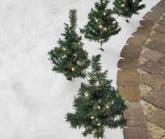 three small christmas trees with lights in the middle of snow covered ground next to brick walkway