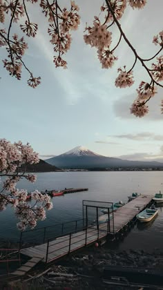 boats are docked at the end of a pier on a lake with cherry blossoms in bloom