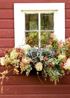 a window sill with succulents and other flowers in front of a red building