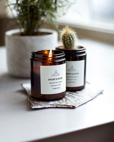 two candles sitting on top of a table next to a cactus