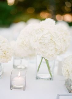 white hydrangeas in glass vases on a table