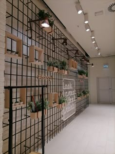 a wall with many plants on it and some lights hanging from the ceiling above them