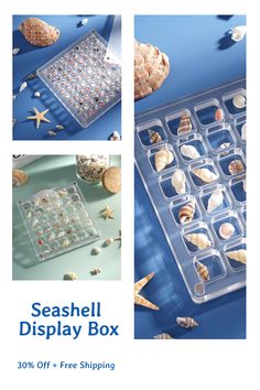 seashell display box 30 % off - free shipping with purchase coupon code =