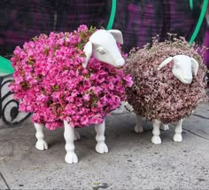 two sheep made out of fake flowers on the sidewalk