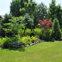 a lush green lawn surrounded by trees and bushes