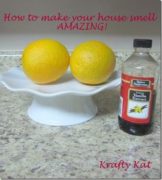 two oranges sitting on a white plate next to a bottle of ketchup