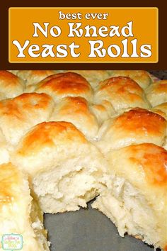 the best ever no knead yeast rolls