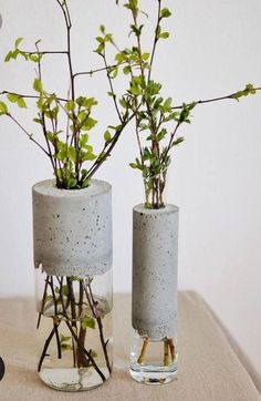 two vases with plants in them sitting on a table