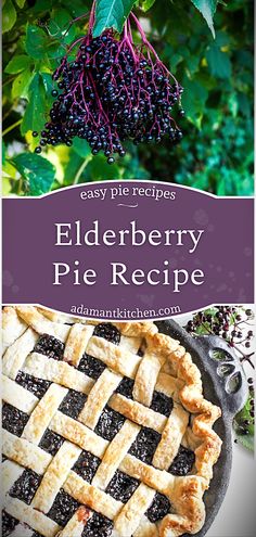 elderberry pie recipe with text overlay