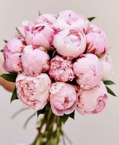 a bouquet of pink peonies sitting in a vase on a table top with someone's hand holding it