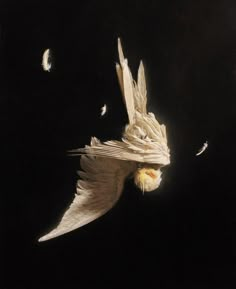 a white bird flying in the air with its wings spread out and it's head turned upside down