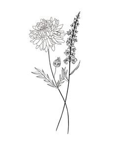 a black and white drawing of flowers on a white background