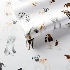 a white and brown dog wallpaper with many dogs on it's back ground