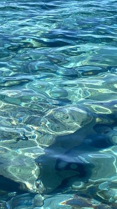 the water is very clear and blue with little ripples on it's surface