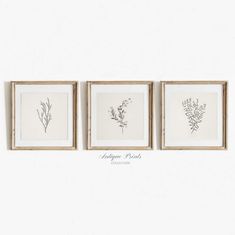 three framed flowers are hanging on the wall