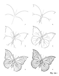 how to draw a butterfly step by step