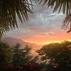 the sun is setting over the water and trees in the foreground, with mountains in the distance