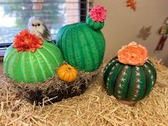 three cactus - like decorations are sitting on straw in front of a window with a bird perched on top