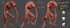 an image of the human body with different angles and muscles, including arms and legs