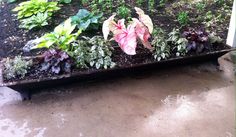 an old wheelbarrow filled with plants and dirt