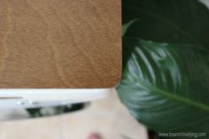 the back side of a laptop computer with a wooden cover on it, next to a large green plant