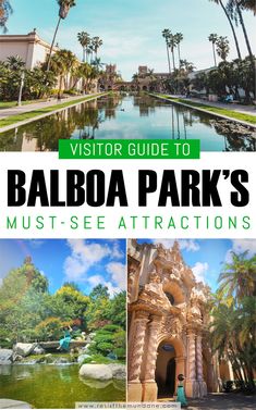 the palm trees and water at balboa park's must - see attractions