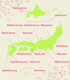 an illustrated map of the island states in pink and green with cherry blossoms around it