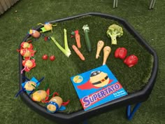 a table that has some toys on top of it in the grass with an open book