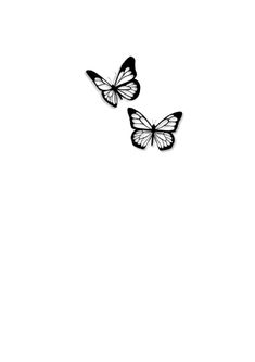 two black and white butterflies flying in the sky