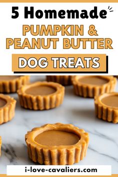 pumpkin and peanut butter dog treats with text overlay that reads, 5 homemade pumpkin & peanut butter dog treats