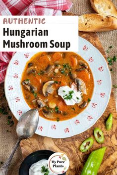 authentic hungarian mushroom soup in a white bowl