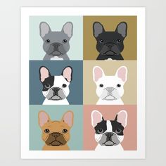 four different colored french bulldogs art print